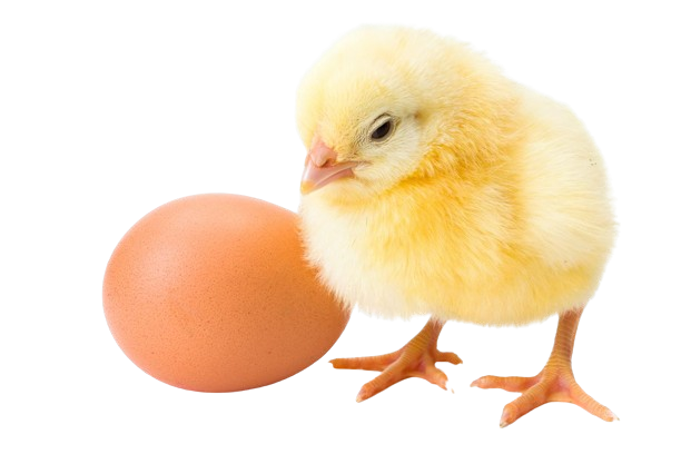 A S K Agro Bangladesh